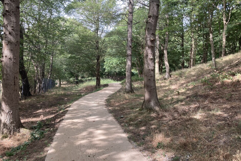 Taverham Woodland Walk 