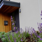 Abel Homes Dereham Front Door and Landscape